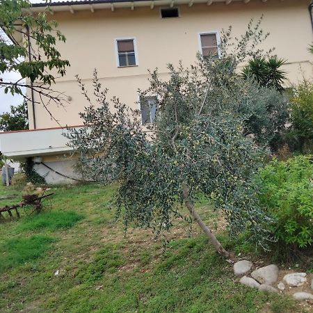 Casa Il Canto Tortoreto Εξωτερικό φωτογραφία