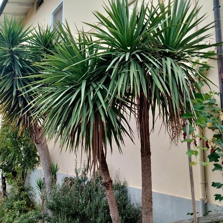 Casa Il Canto Tortoreto Εξωτερικό φωτογραφία