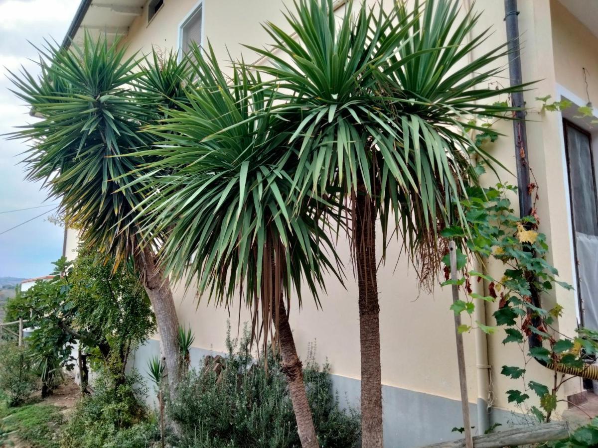 Casa Il Canto Tortoreto Εξωτερικό φωτογραφία